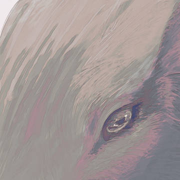 眼
