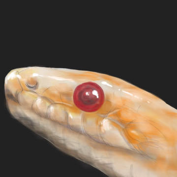 へび