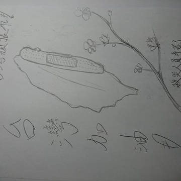 台灣加油