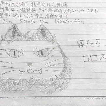 勉強中に頭の中に出てきた猫。