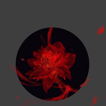 红药