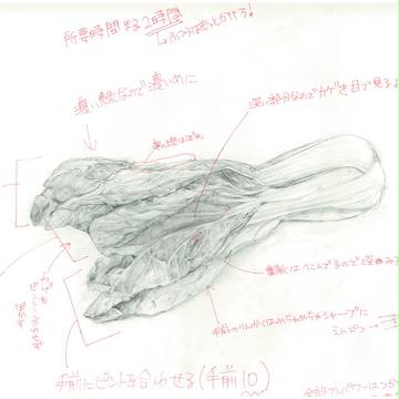 青梗菜(？)