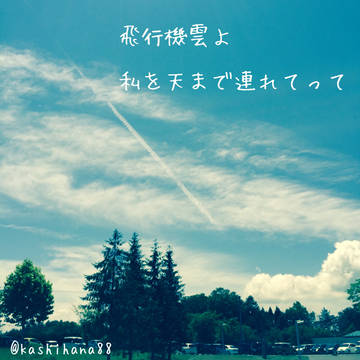 飛行機雲
