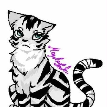 虎猫