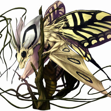蝶のドラゴン