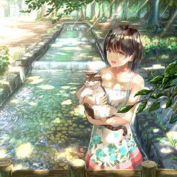 真夏の木漏れ日
