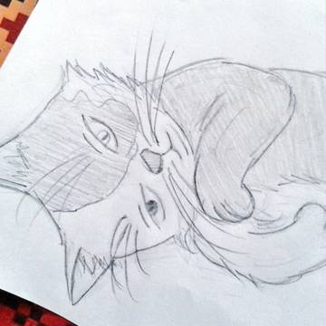 轟猫