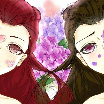 蝶与紫阳/Butterfly and Hydrangea