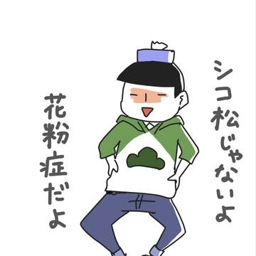 松の詰合せ