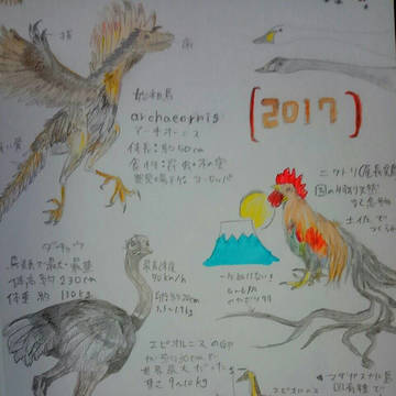 2017 鳥(酉) 年賀状
