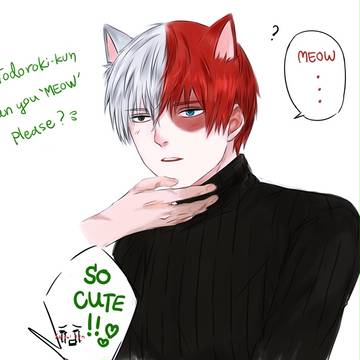猫の日でした