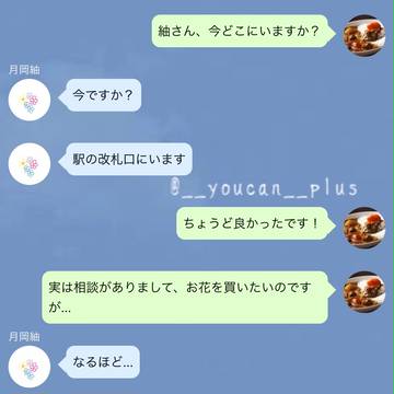 赤色のアネモネ