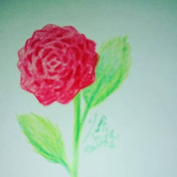 花イラスト☆
