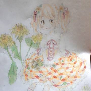 たんぽぽ