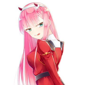＊