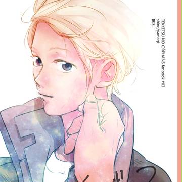 アイビス【WEB再録】