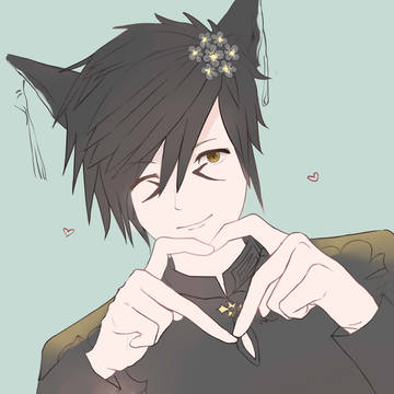 猫儿子