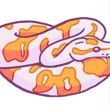 Snake
