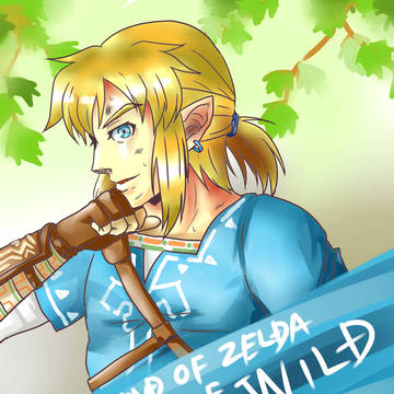 BotW 1st Anniversary