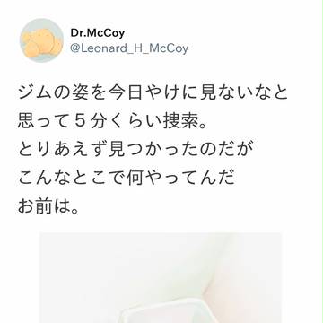 コーギー船長+カットまとめ