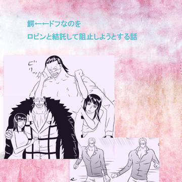 鰐←←ドフなのをロビンと結託して阻止しようとする話