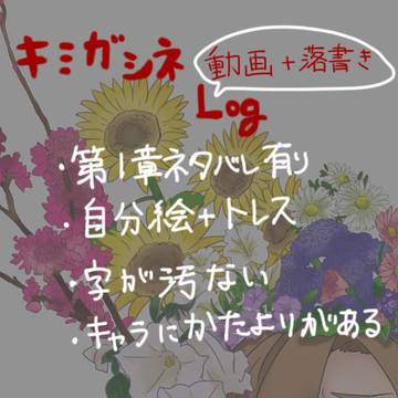 キミガシネ　動画+落書き　Log