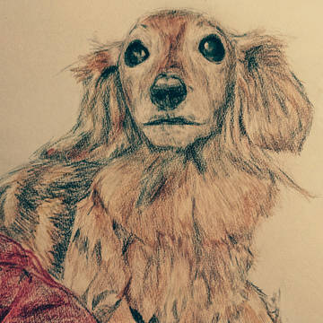 old lady