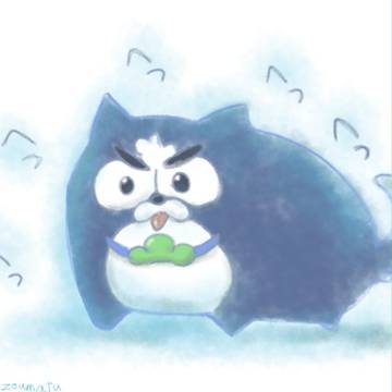 テスト配信
