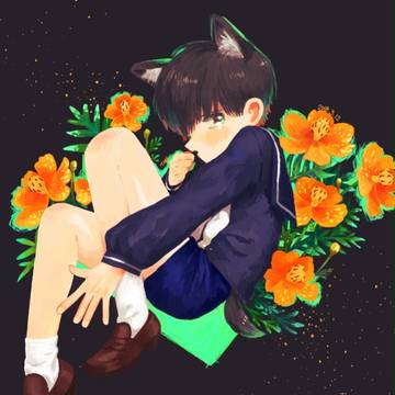 キバナコスモスと狼