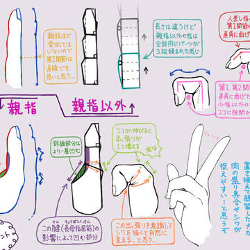 自分なりの指ポイント(側面のみ)