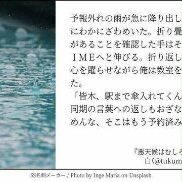 SSまとめ1