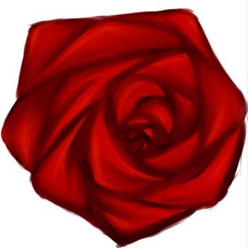 rose