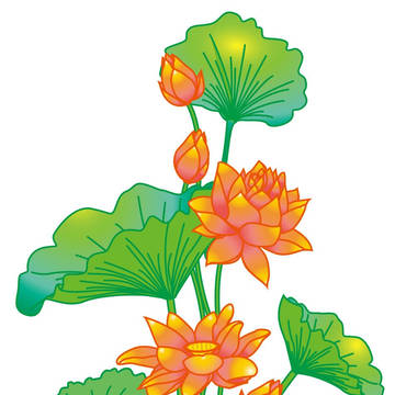 蓮の花