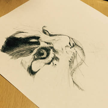 猫ﾉｷﾜﾐｨ