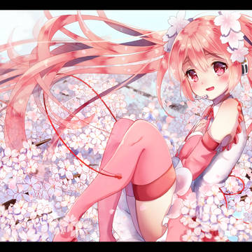 Bloom