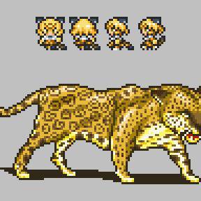 ジャガーとジャガーさん