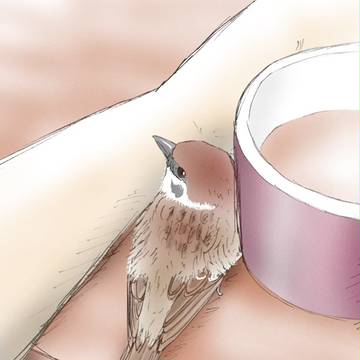 せまくて暖かいところ
