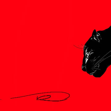 黒豹