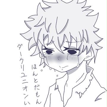 漆黒の翼