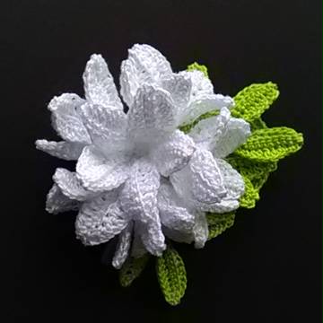 春の花
