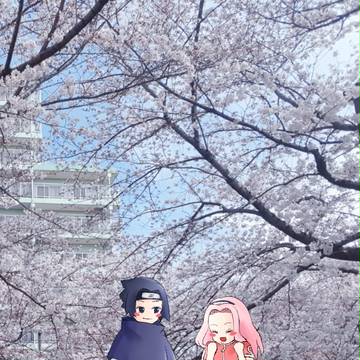 サスサクお花見