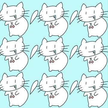 いっぱいねこ