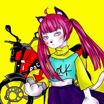 野良猫