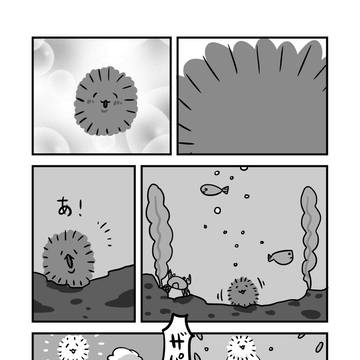 まりも