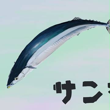 サンマ