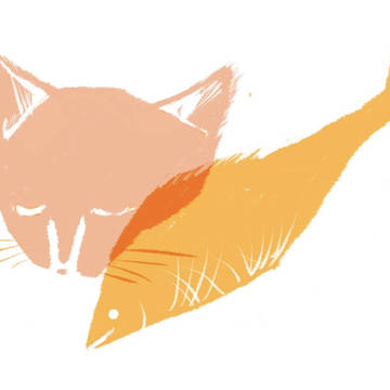 猫と魚