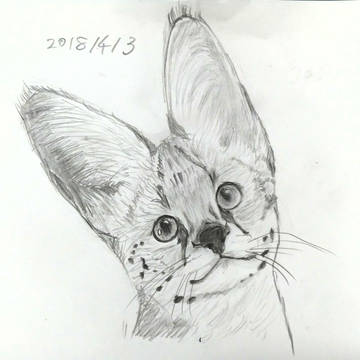 サーバルのティアちゃん（模写）