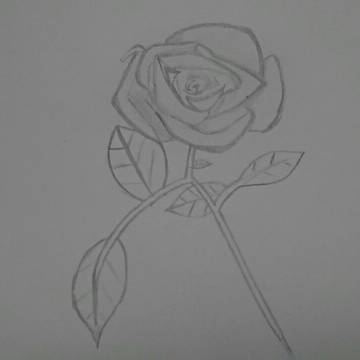 落描き