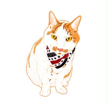 ネコ
