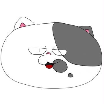ジャッジする猫